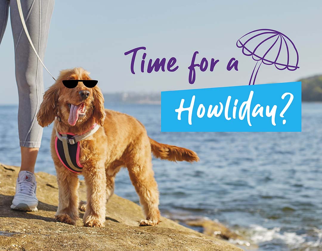 Going on a howliday?