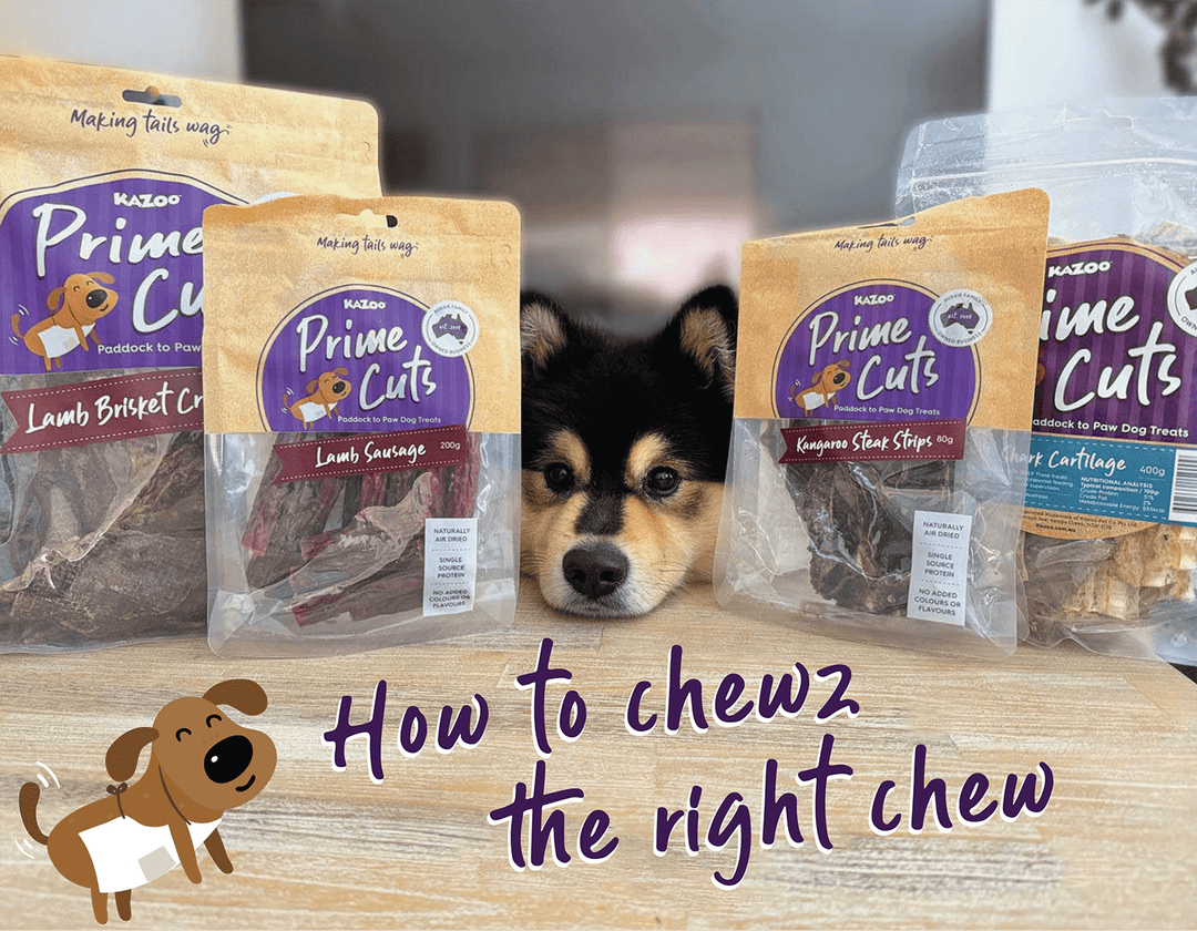 How to Chewse Your Dog Chew