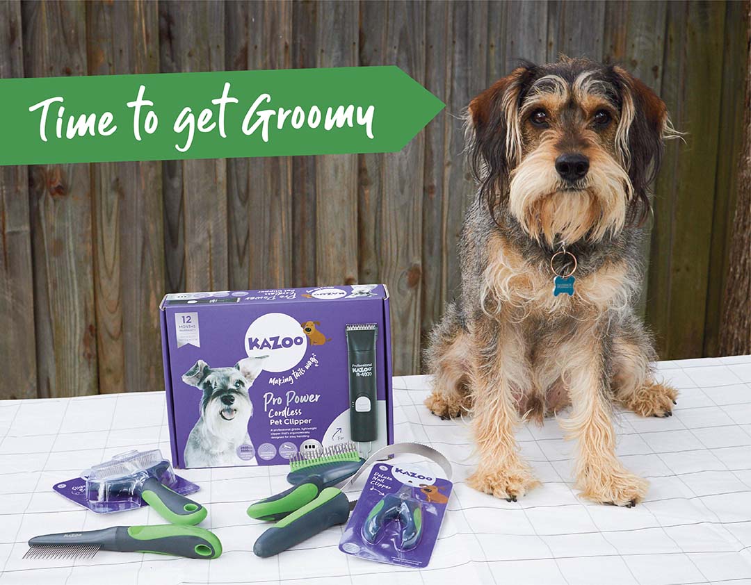 Dog grooming without the grrr! Kazoo Pet Co