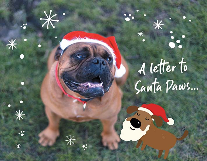 A letter to Santa Paws - GIVEAWAY