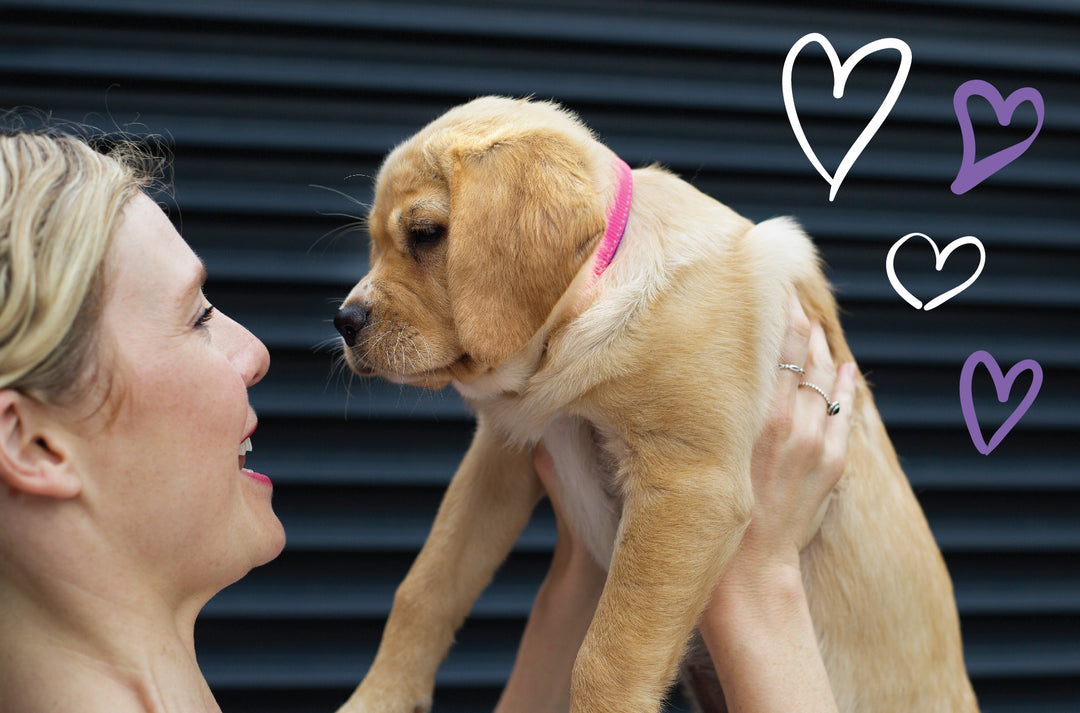 Puppy Love: The Complete Guide To Caring For Your Pup