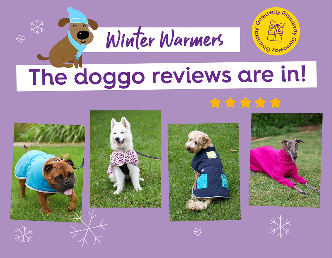 The Reviews Are In! Do The Kazoo Coats Get 4 Paws Up?