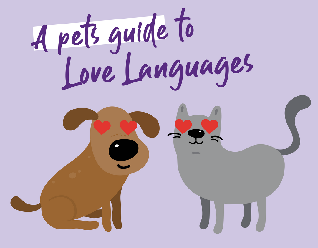 Not So Secret Admirers… Our Pet's Guide To The 5 Love Languages