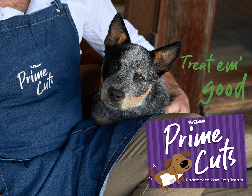 Prime Cuts: Air-Dried Dog Treats That Are a Cuts Above the Rest 🥩 ...