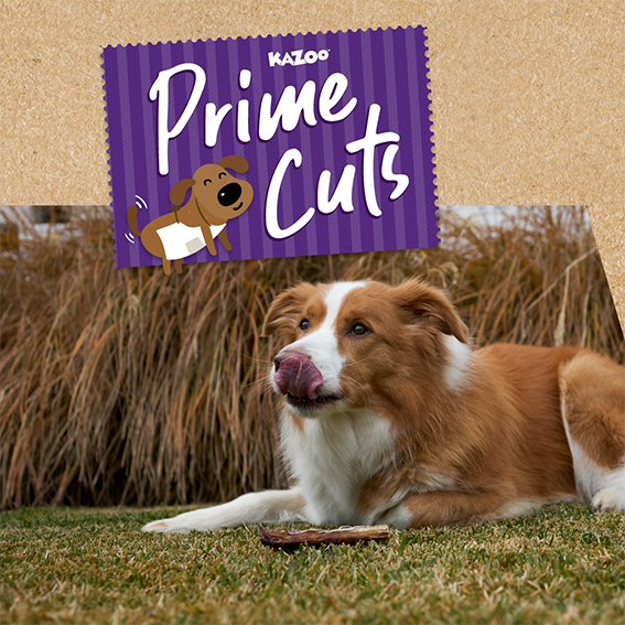 Prime Cuts - 100% Natural Protein Dog Treats