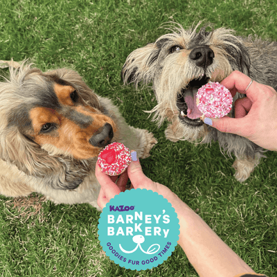 Multi-Pack Dog Treats