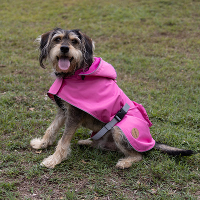 Kazoo neon green dog raincoat