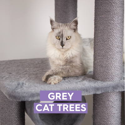 Grey Cat Trees & Towers