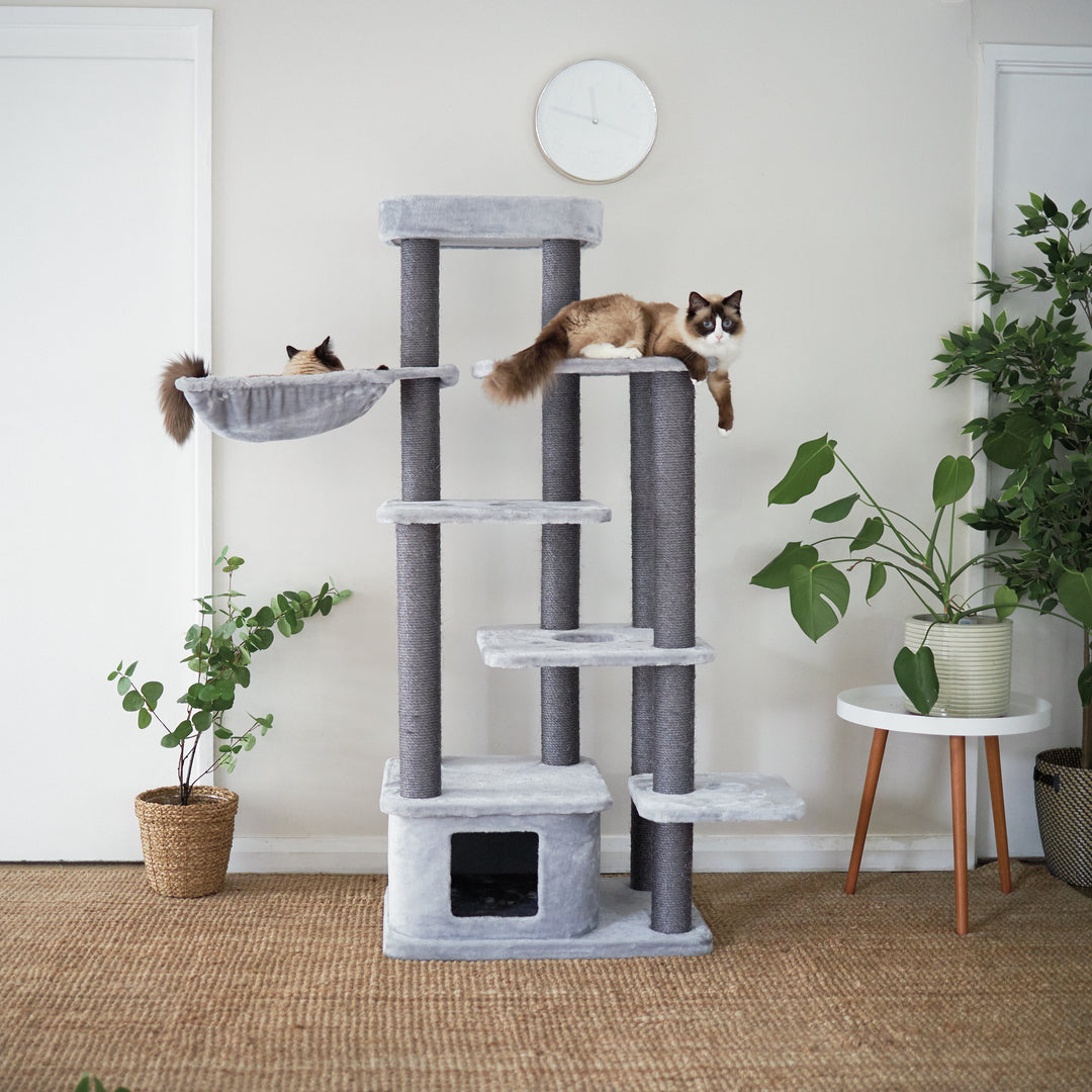Cat Trees & Playgrounds