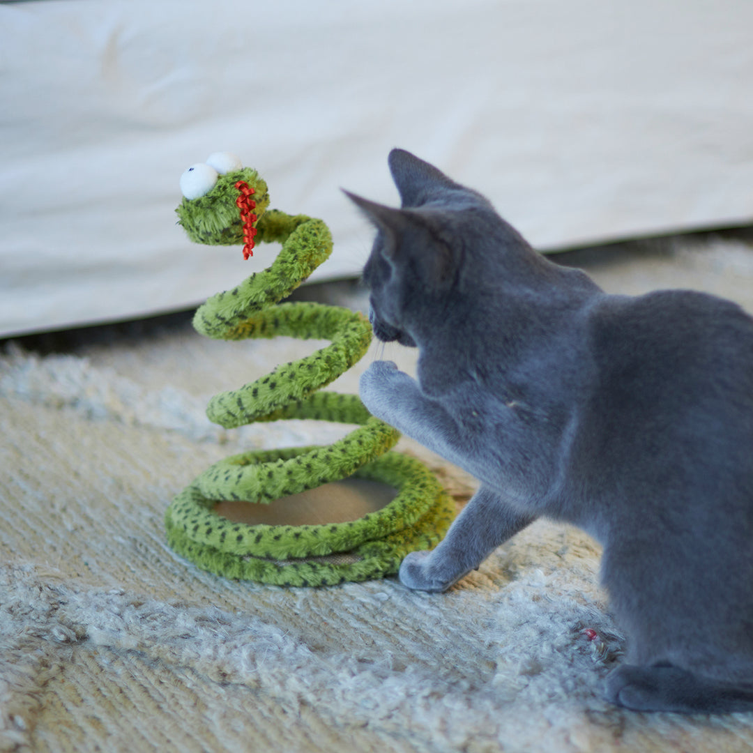 Interactive Cat Toys