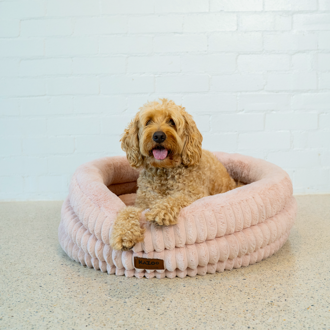 Indoor Beds