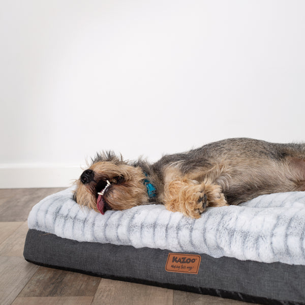 Indoor Beds