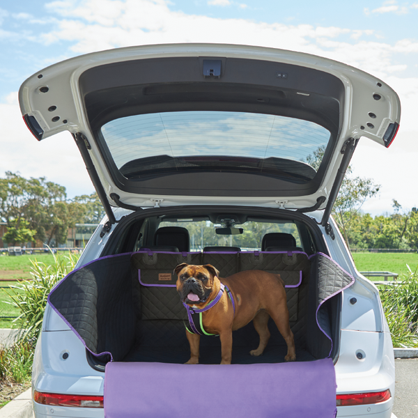 Dog Travel & Crates