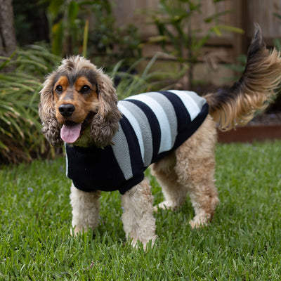 Kazoo pink dog jumper