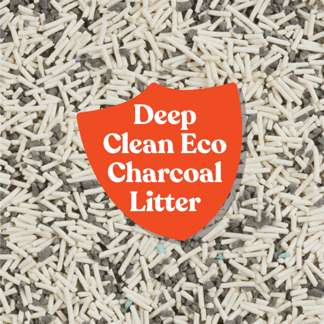Odour Control Cat Litter
