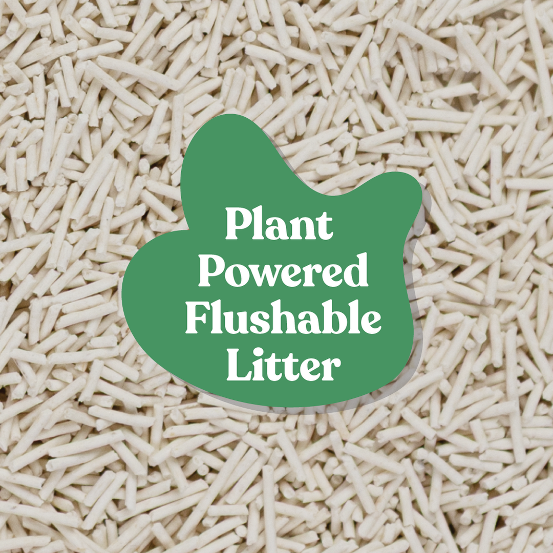 Tofu Cat Litter