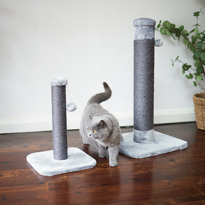 Cat Scratching Posts