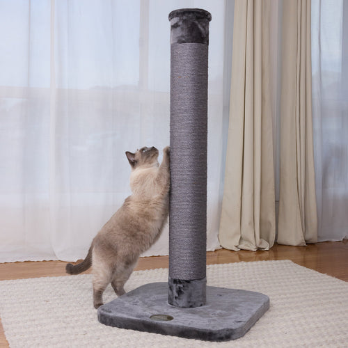 Cat Scratching Posts