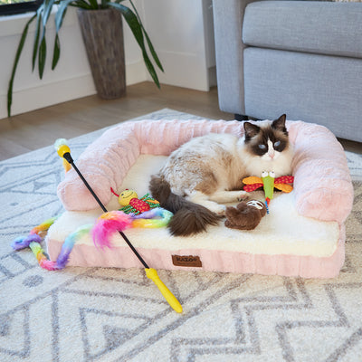 Cat Toys