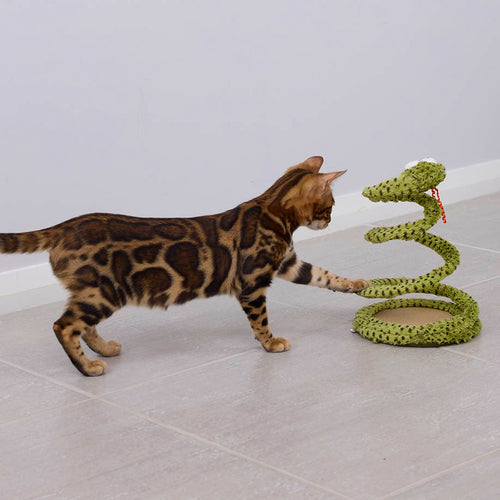 Cat Toys