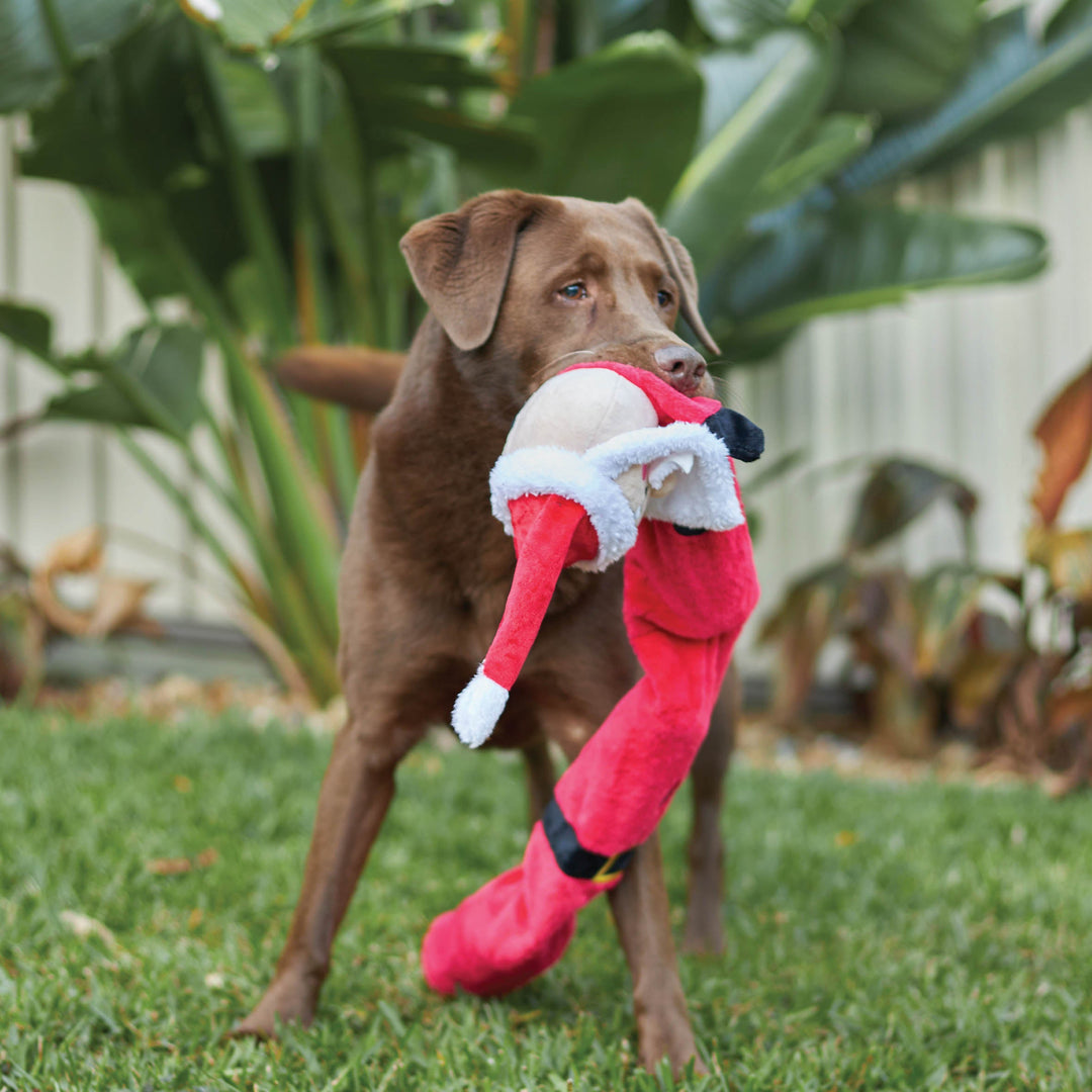 Christmas Dog Gifts