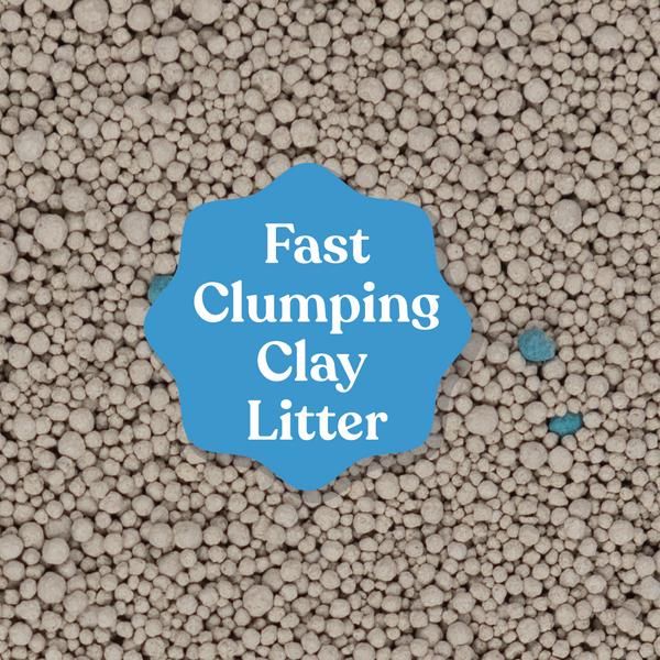 Clay Cat Litter