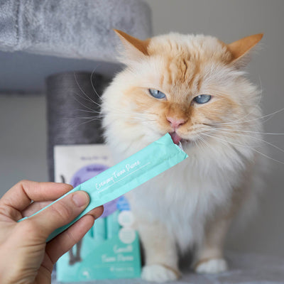 Cat Treats
