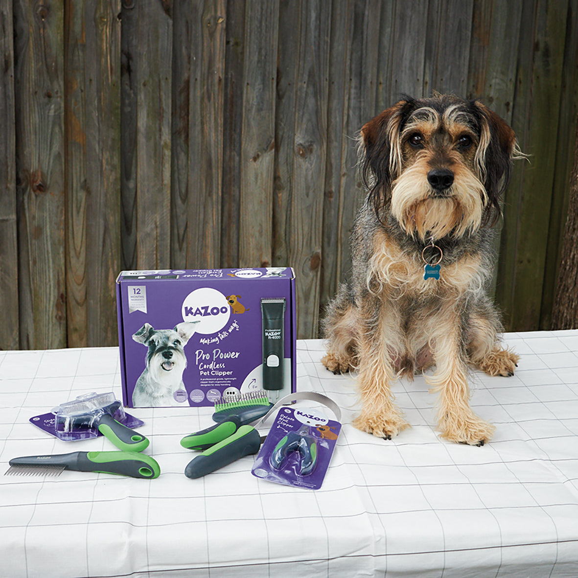 Kazoo Shop online for Australia s best dog grooming tools Kazoo