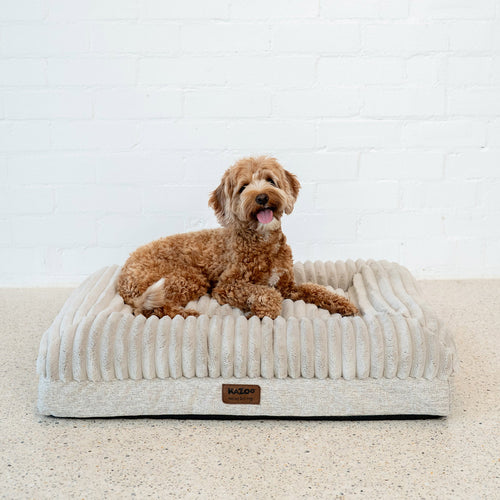 Dog Beds