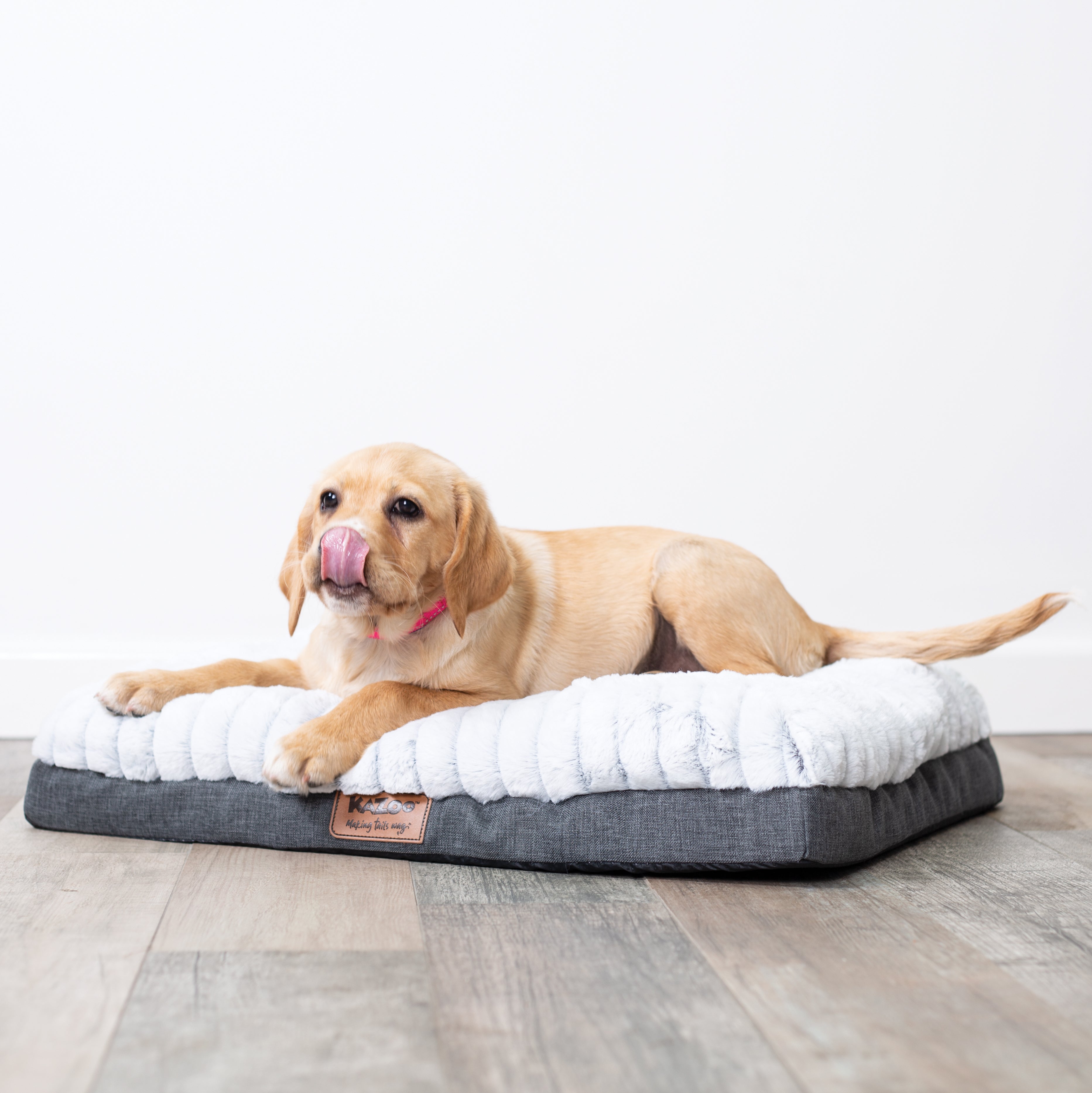 Puppy Beds Soft Beds, Indoor & Outdoor Beds Kazoo Pet Co