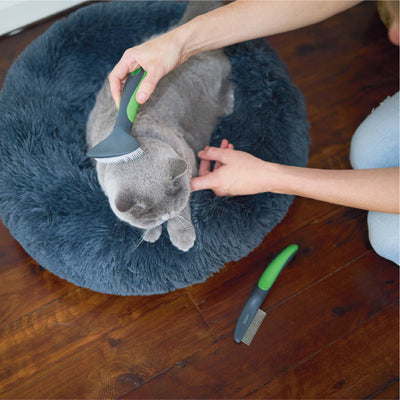 Cat Grooming