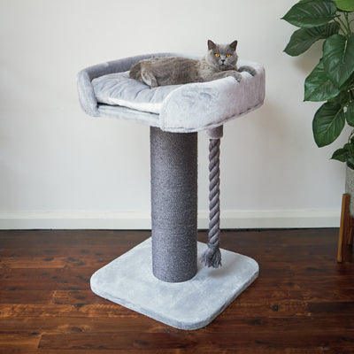 Cat Beds