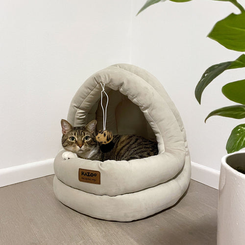 Cat Beds