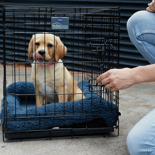 Dog Crates