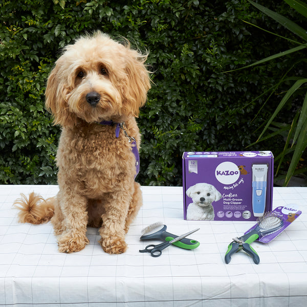 Dog Grooming