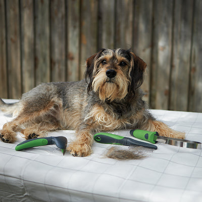 Shedding Tools