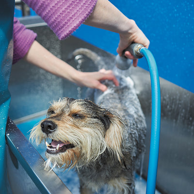 Dog Wash Brushes