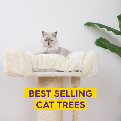 Best Selling Cat Trees