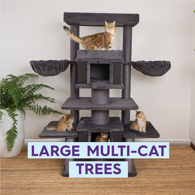 Large Multi-Cat Playgrounds