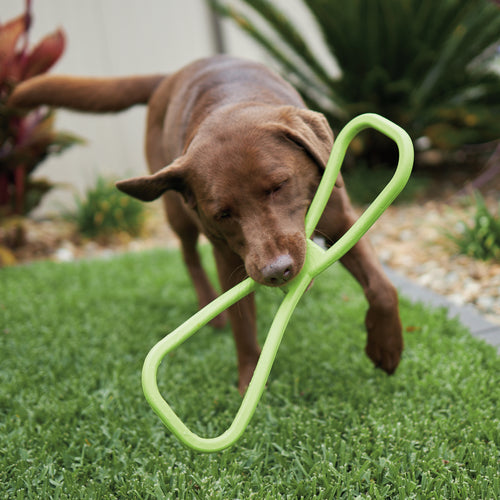 Dog Toys