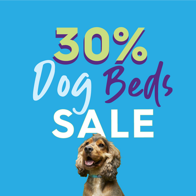 30% Off Dog Beds