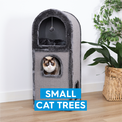 Small Cat Playgrounds