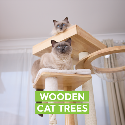 Wooden Cat Trees & Towers