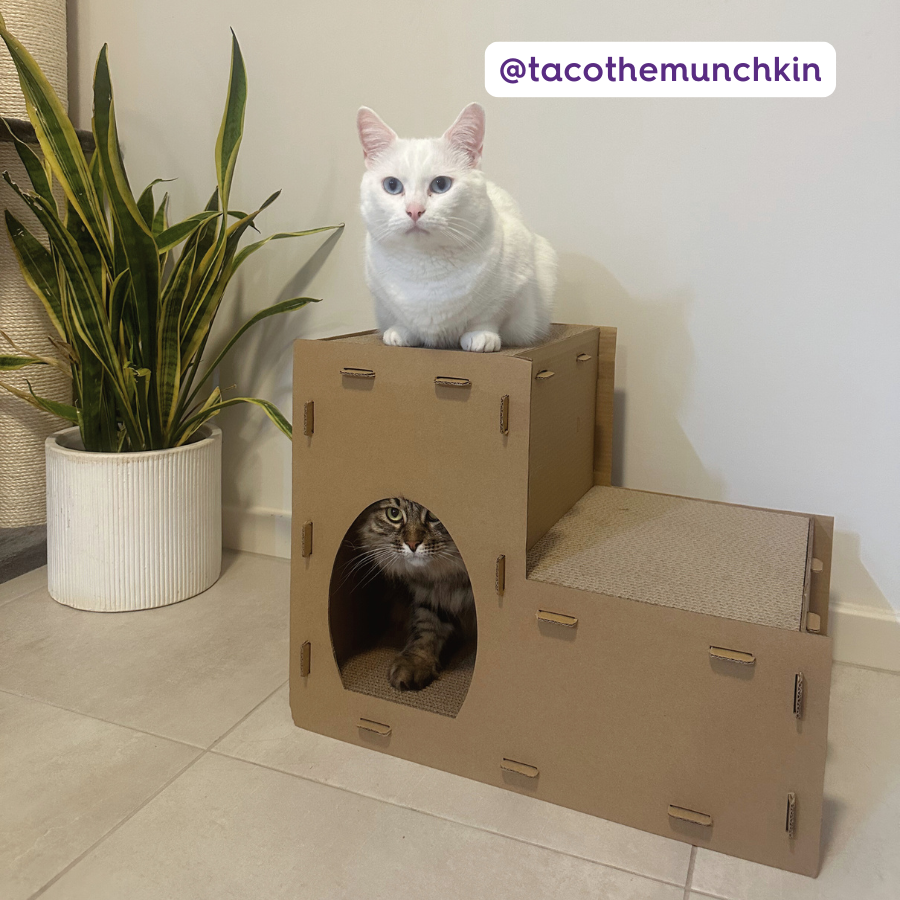 Two Story Kitty Villa