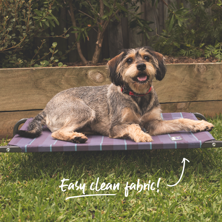 Everyday Outdoor Bed - Kazoo Pet Co