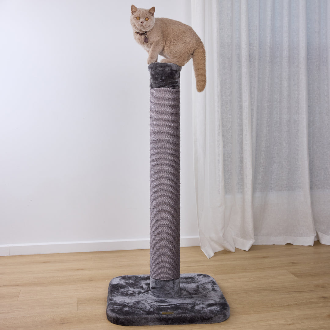 Cat Scratch Post - Grey - Large