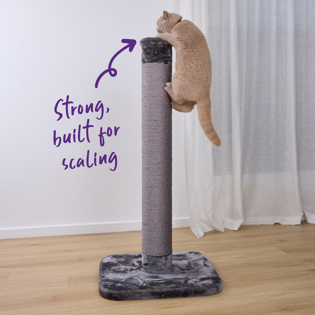Cat Scratch Post - Grey - Large