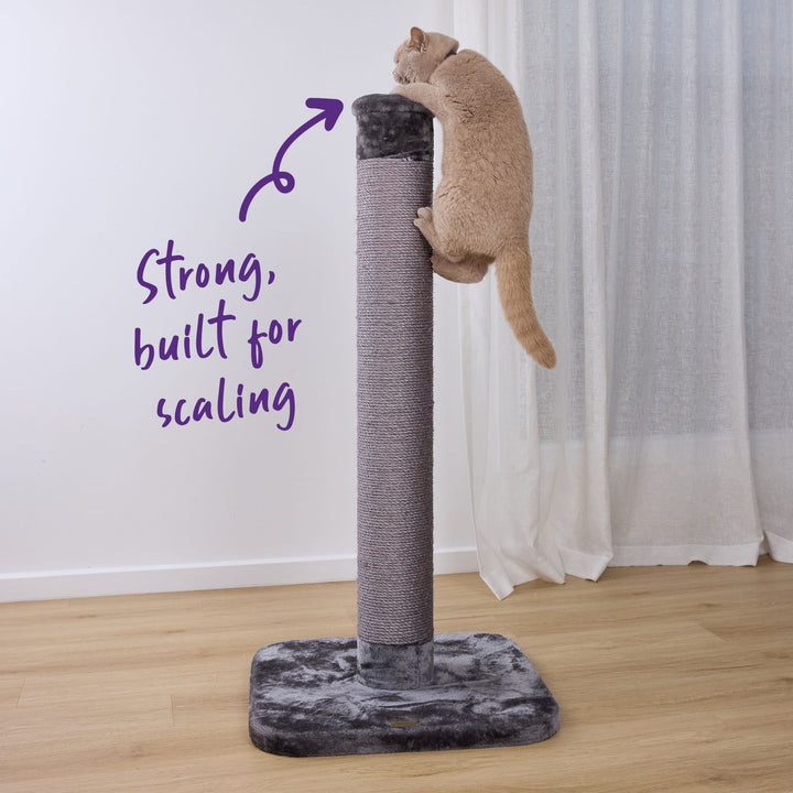 Cat Scratch Post - Grey - Large