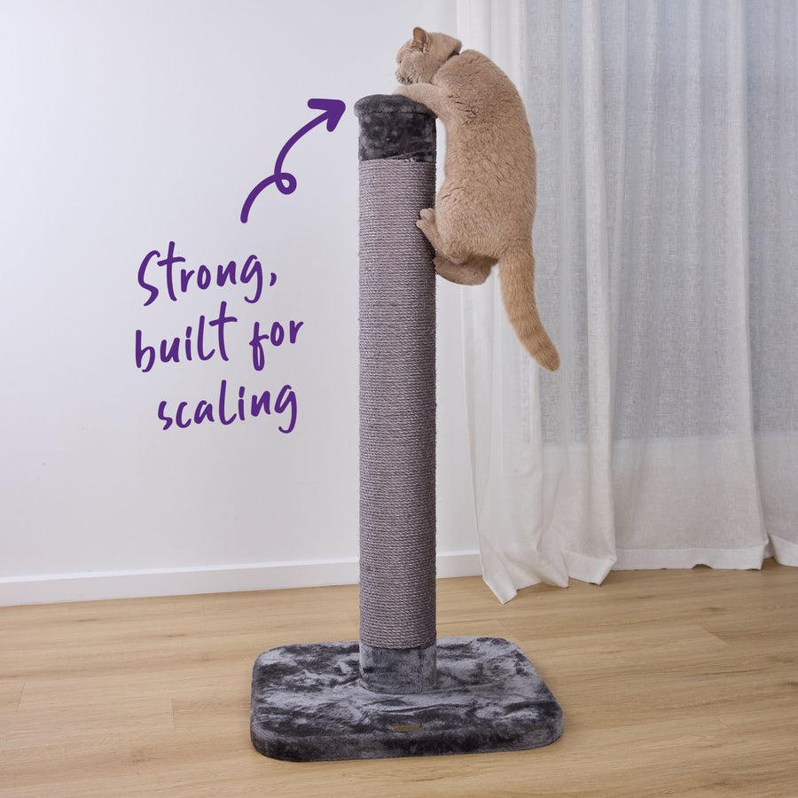 Cat Scratch Post - Grey - Large – Kazoo Pet Co