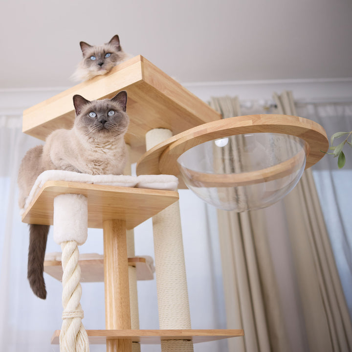 Scandi Cat Scratch Tree